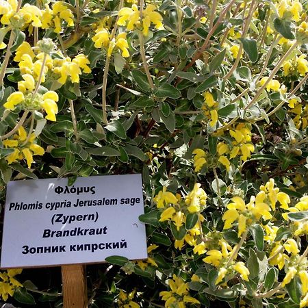 Polis Herb Garden Екстер'єр фото